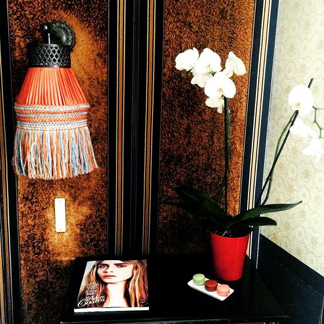 11809936_1029094943790966_956350590_n