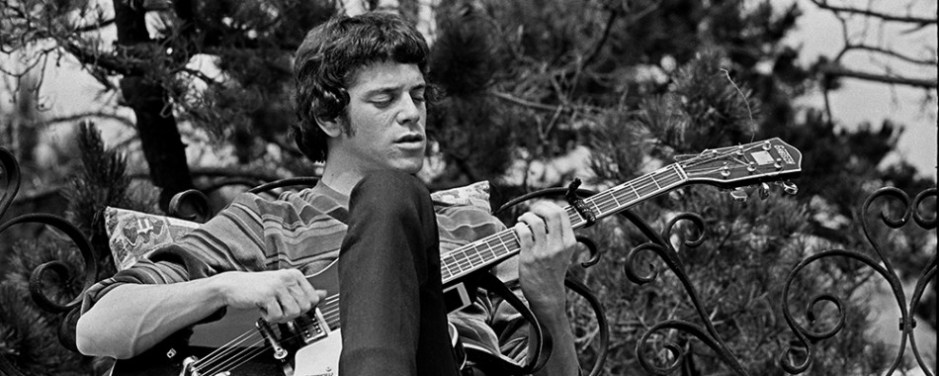 2455_law_hd_copyright-lisa-law