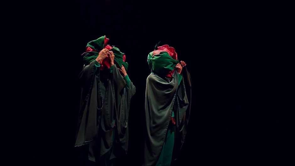 Laura-Carthew-Immortal-Flower-무궁화-2015-Video-Still-copy