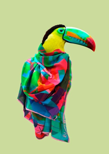 large_BLAZON_TheRose