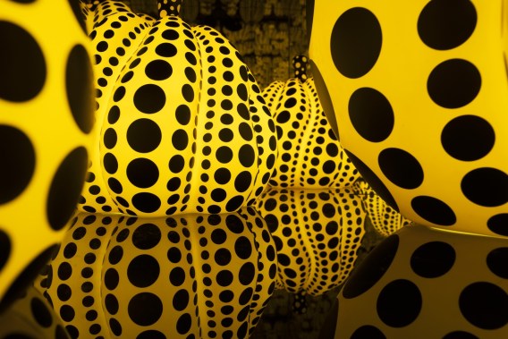 kusa1018_all-the-eternal-love-i-have-for-the-pumpkins_2016-c