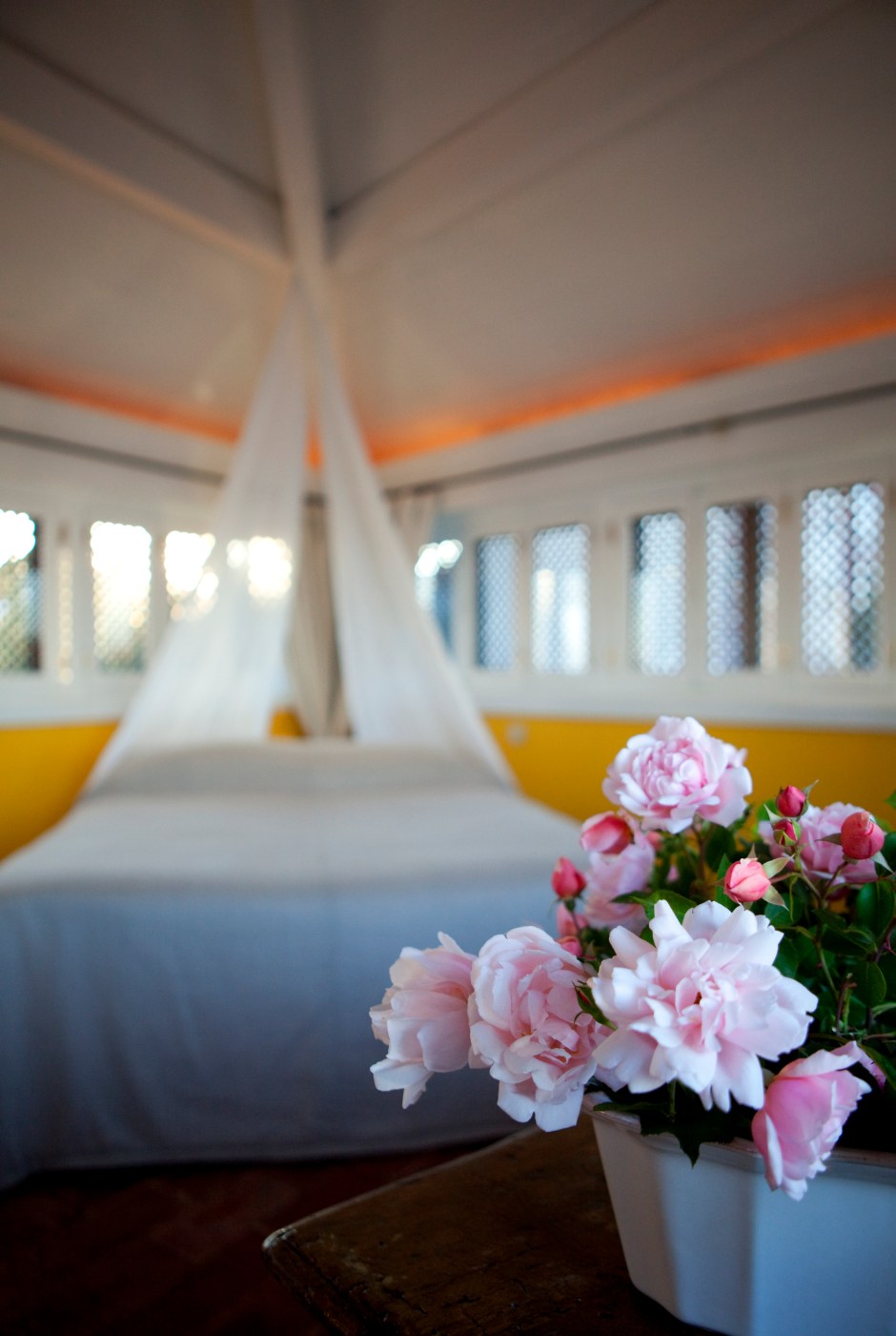 Detail of the Padre Himalaya site 01 © Jacob Termasen