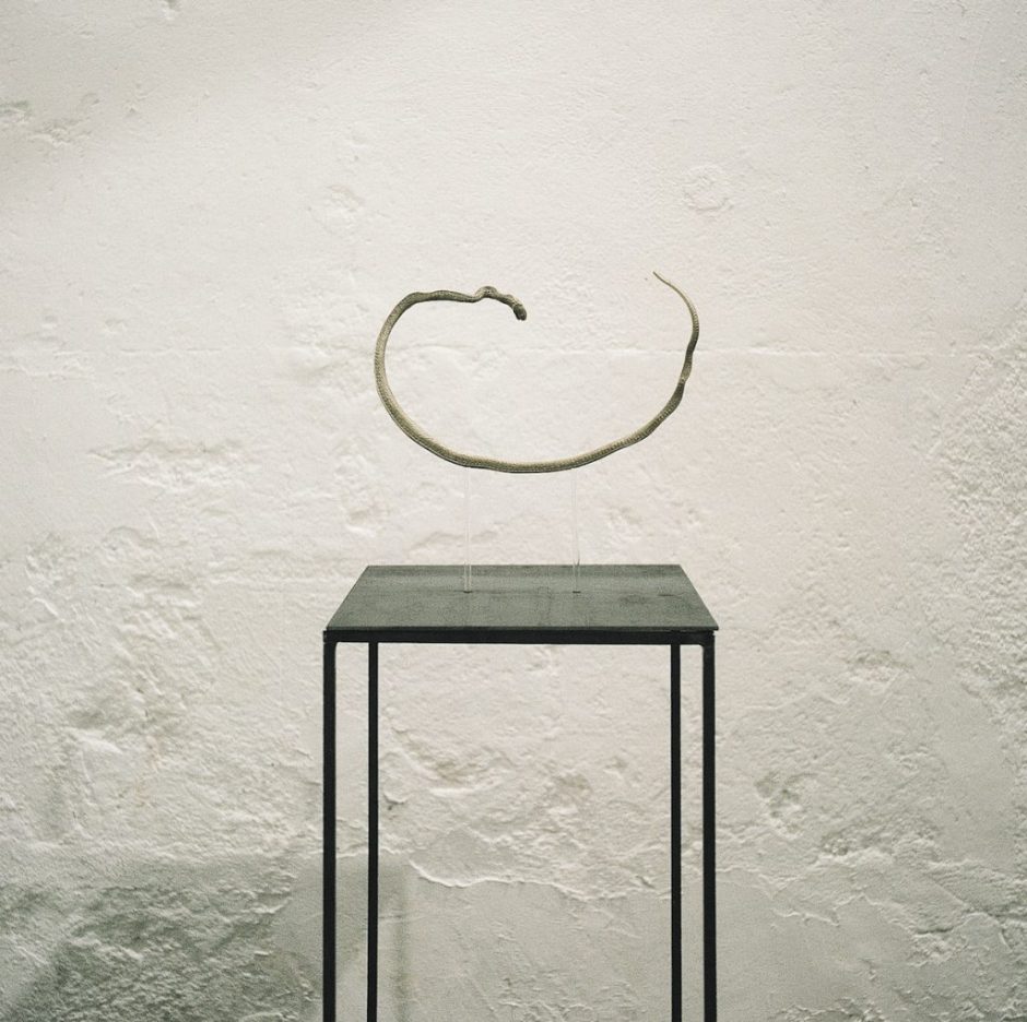 exhibition-Ignazio-Mortellaro_E-già-sono-deserto_low_-4-of-6-1024x1020