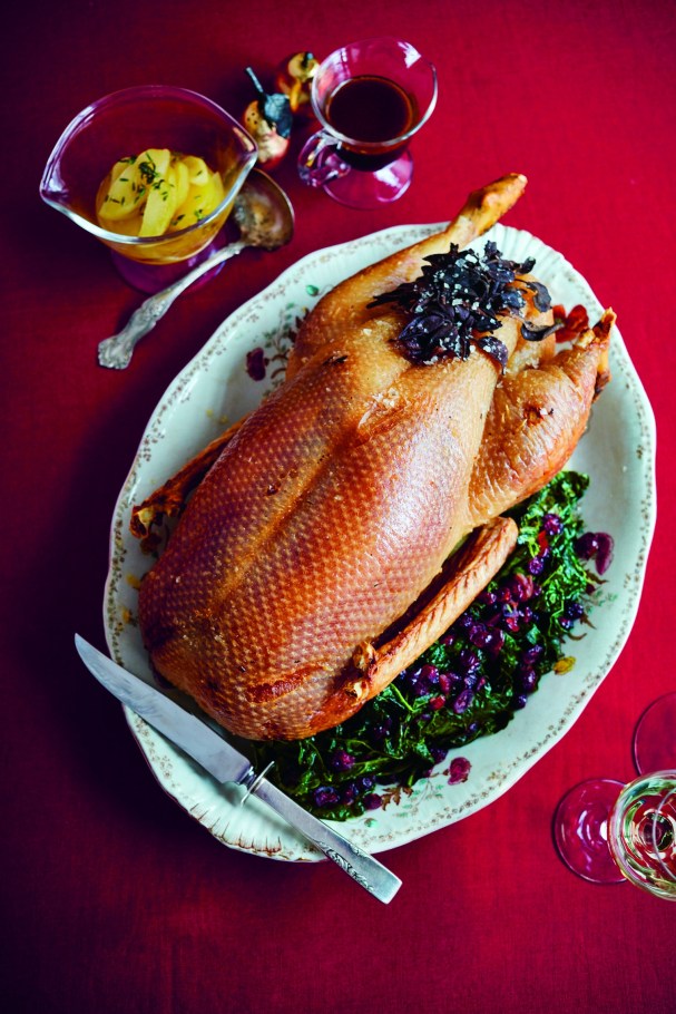 So1L9sYvSXSJcXFH8Na0_GOOSE_0Q8A7513