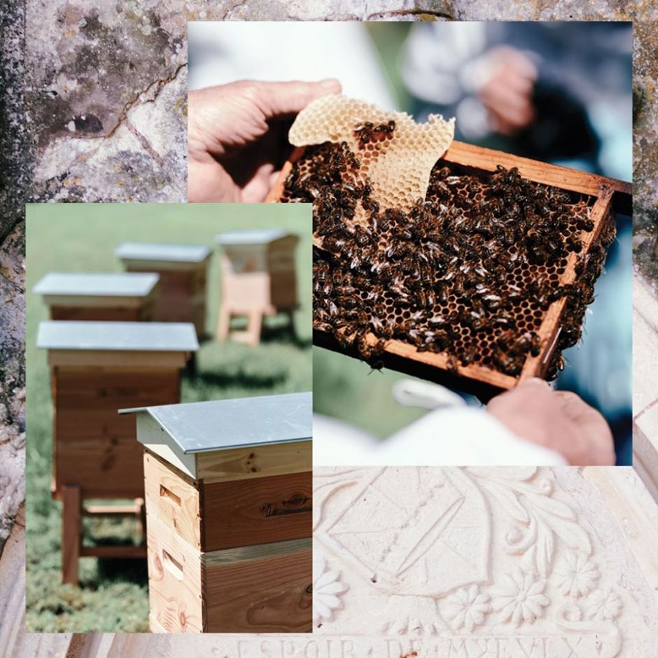 70587422_10157365267536206_6511632726720774144_o